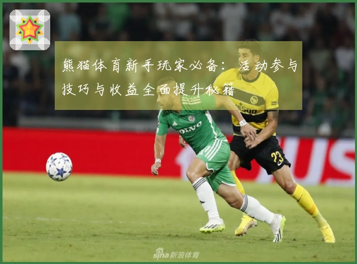 熊猫体育新手玩家必备：活动参与技巧与收益全面提升秘籍