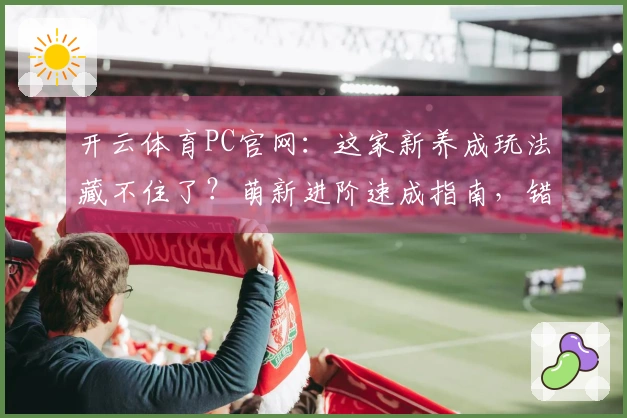 开云体育PC官网：这家新养成玩法藏不住了？萌新进阶速成指南，错过悔一年