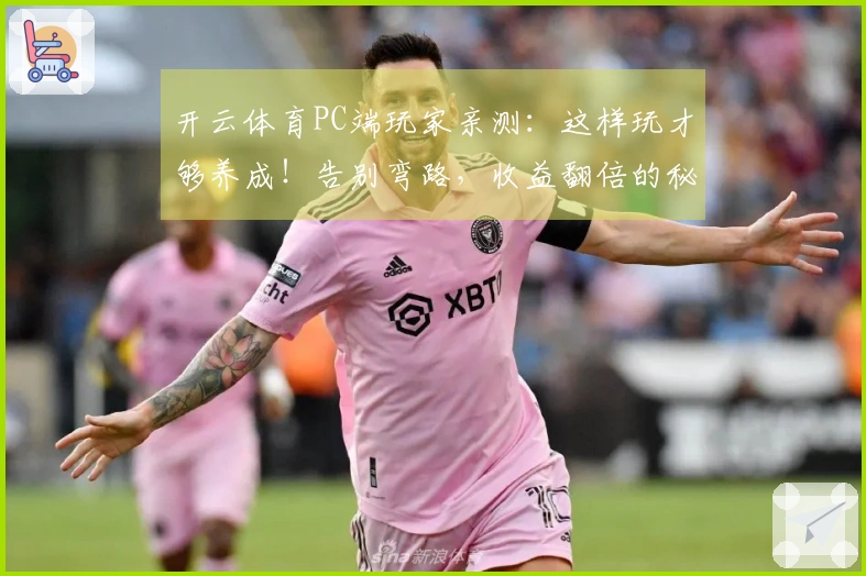 开云体育PC端玩家亲测：这样玩才够养成！告别弯路，收益翻倍的秘密全告诉你