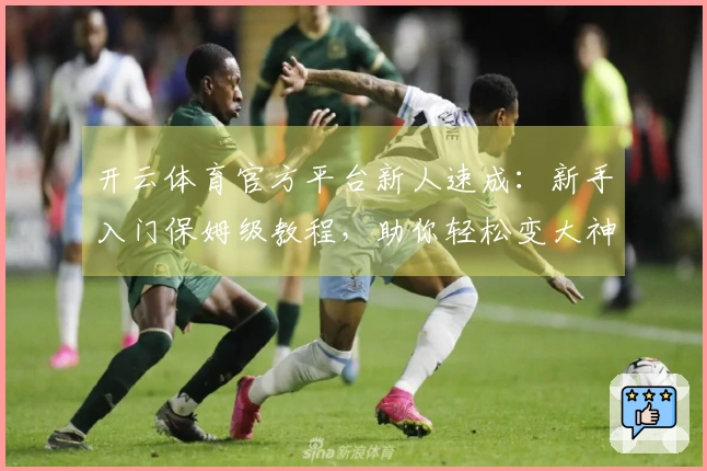 开云体育官方平台新人速成：新手入门保姆级教程，助你轻松变大神！